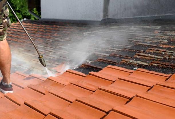 Best Residential Pressure Washing Services  in North Lynnwood, WA